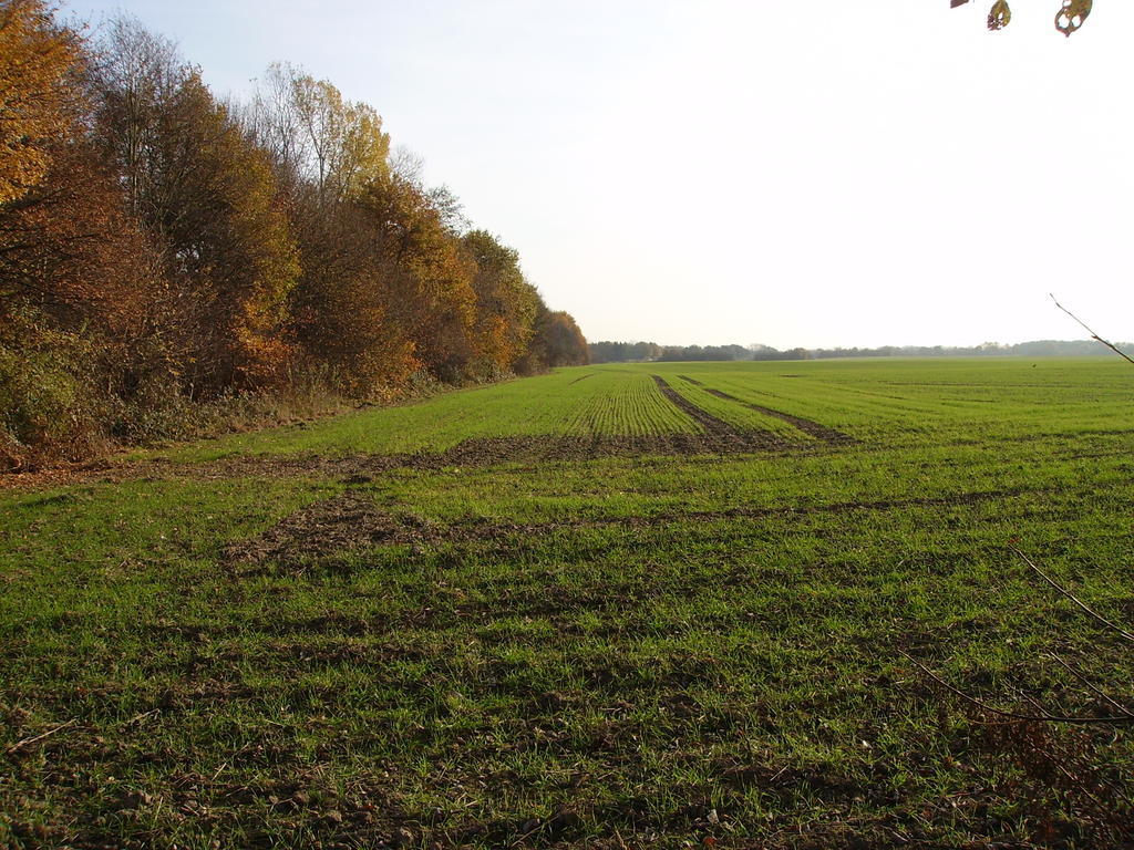 Gasthuis Donar